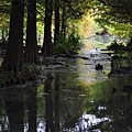20131109-10 702 (Small).jpg