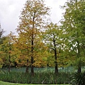 20131109-10 658 (Small).jpg