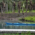 20131109-10 609 (Small).jpg