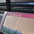20131201 003 (Small).jpg