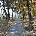 20131201 071 (Small).jpg