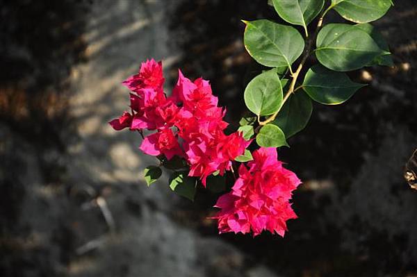 20131201 147 (Small).jpg