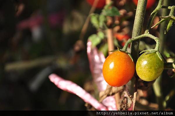 20140125 337 (Large).jpg