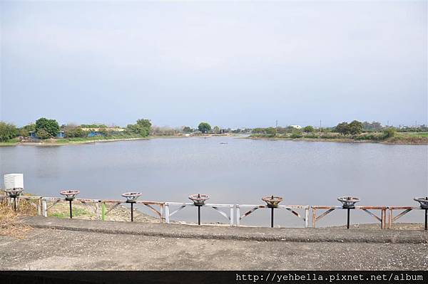 201400315 005 (Large).jpg