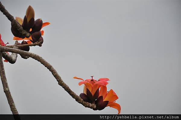 201400315 095 (Large).jpg