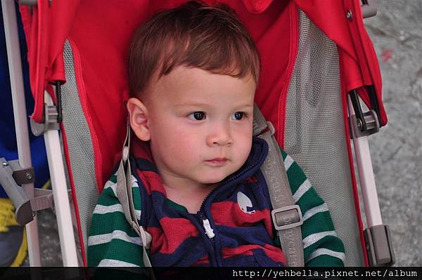 20140204 128 (Large).jpg