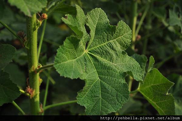 201400322 466 (Large).jpg