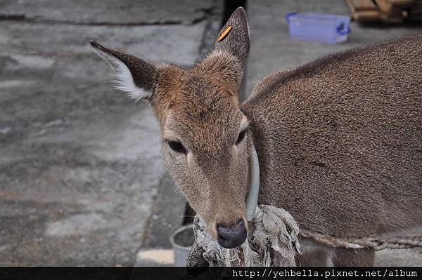 20140215-16 096 (Large).jpg