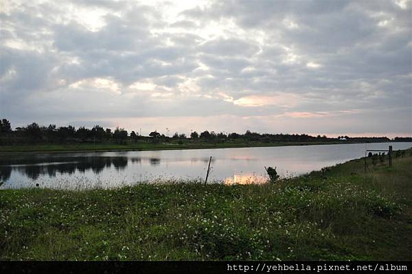 201400301 146 (Large).jpg