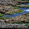 20140412 063 (Large).jpg