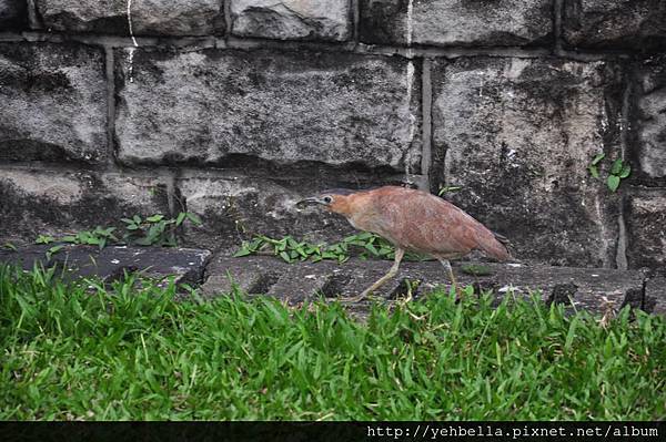 20140426 112 (Large).jpg