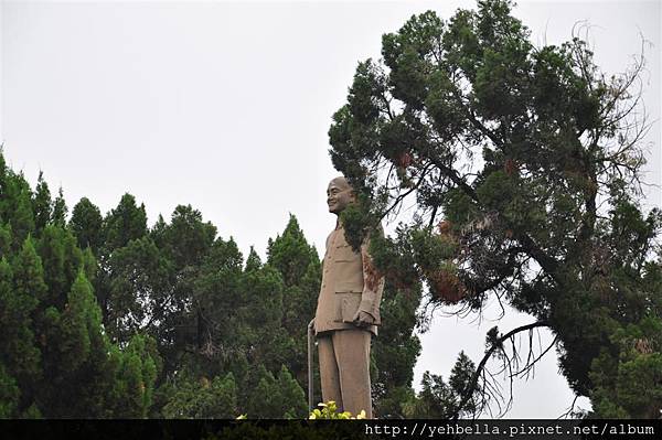 20140426 132 (Large).jpg