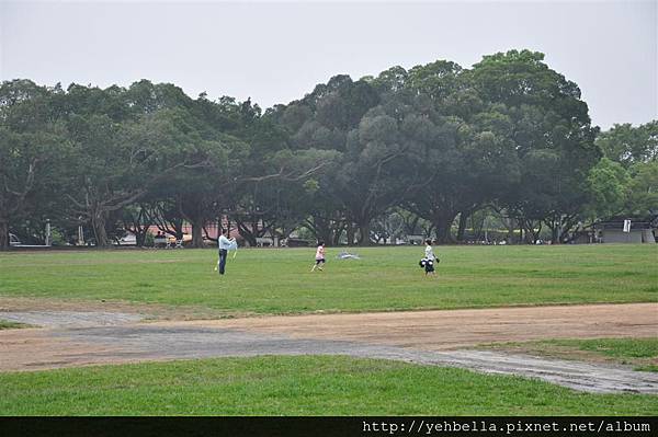 20140426 135 (Large).jpg