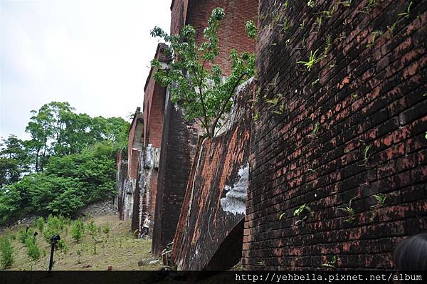 20140503 152 (Large).jpg