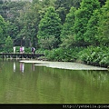 20140628 209 (Large).jpg