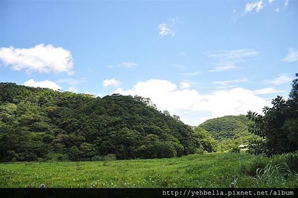 20140906 003 (Medium).jpg