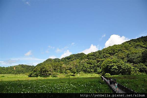 20140906 004 (Medium).jpg