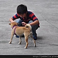 20140920 068 (Medium).jpg