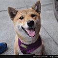 20140920 092 (Medium).jpg