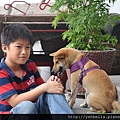 20140920 100 (Medium).jpg