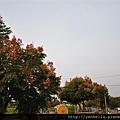 20141004 062 (Medium).jpg