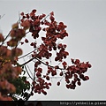 20141004 066 (Medium).jpg
