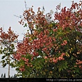 20141004 071 (Medium).jpg