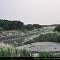 20141004 080 (Medium).jpg