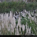 20141004 084 (Medium).jpg