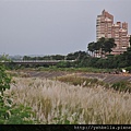 20141004 085 (Medium).jpg