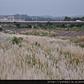 20141004 093 (Medium).jpg