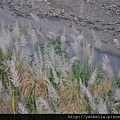 20141004 097 (Medium).jpg