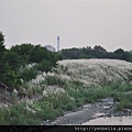 20141004 116 (Medium).jpg