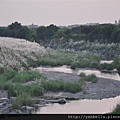 20141004 118 (Medium).jpg