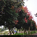 20141004 151 (Medium).jpg
