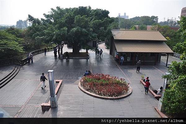 20150101 075 (Medium).jpg