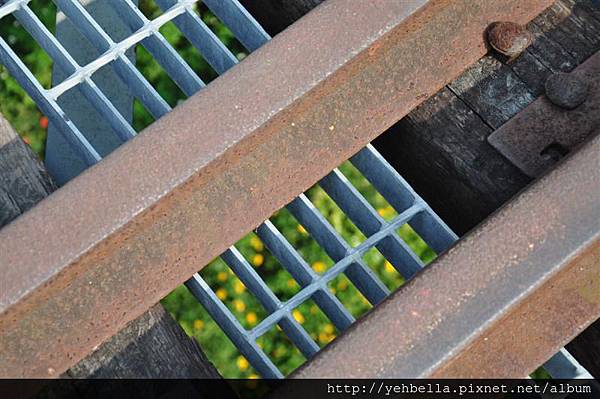 20150101 094 (Medium).jpg