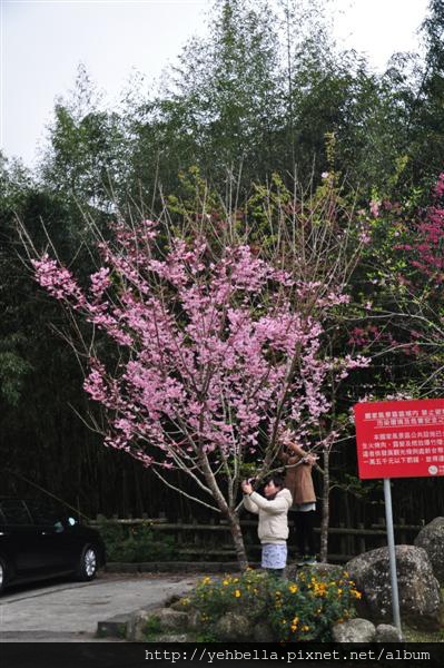 20150208 133 (Medium).jpg