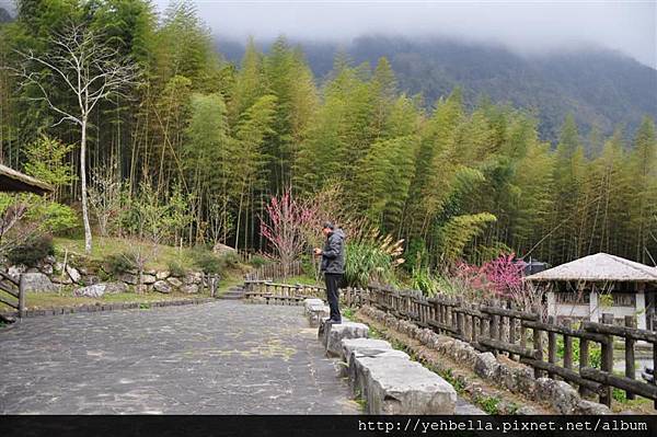 20150208 138 (Medium).jpg