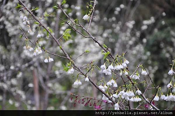 20150208 157 (Medium).jpg