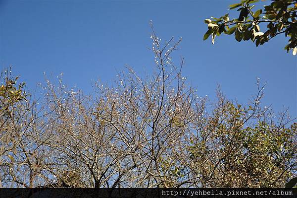 20150104 067 (Medium).jpg