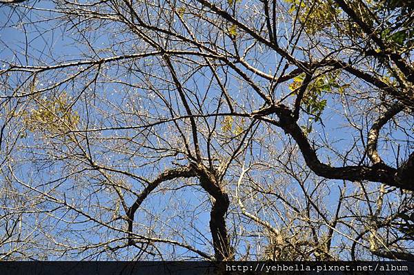 20150104 081 (Medium).jpg