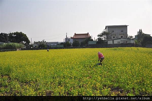 20150110 204 (Medium).jpg