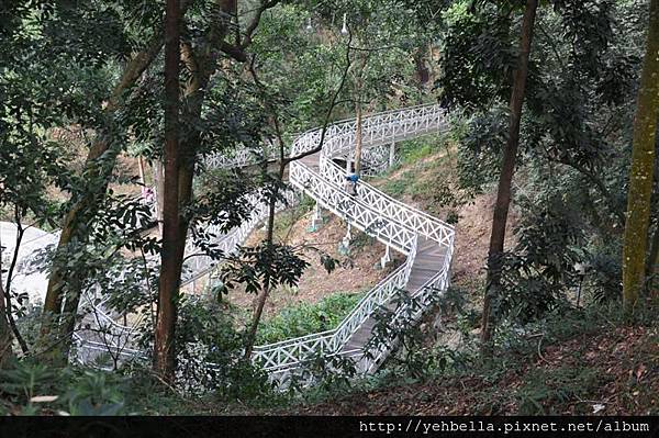 20150116 1509 (Medium).jpg