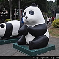 20150206 099 (Medium).jpg