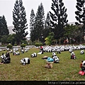 20150206 100 (Medium).jpg