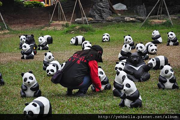 20150206 134 (Medium).jpg