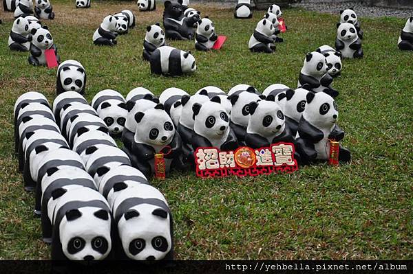 20150206 136 (Medium).jpg