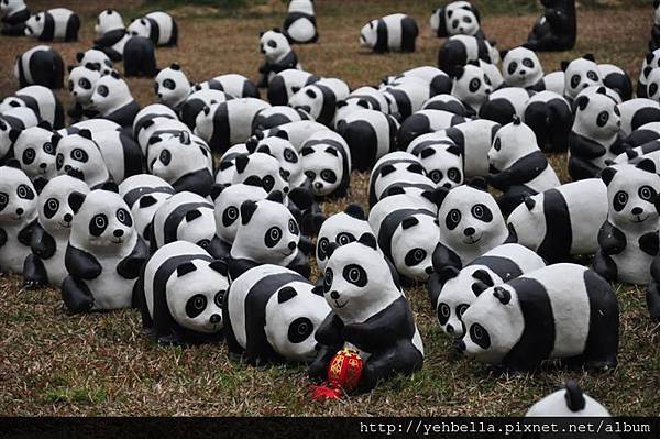 20150206 139 (Medium).jpg