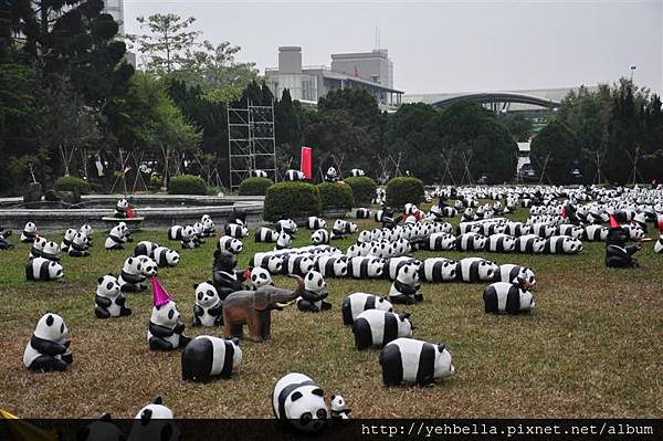 20150206 142 (Medium).jpg